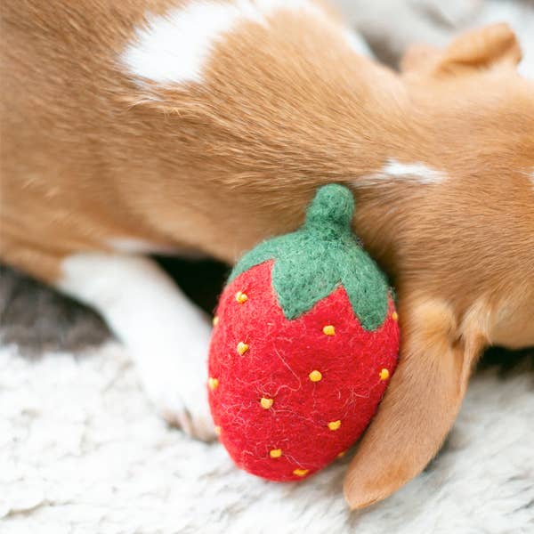 MODERNBEAST - Wholesale Pet Toy - Dog - DOGGY STRAWBERRY Wool Dog Toy1