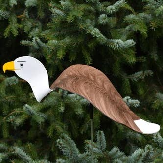 Bald Eagle for wholesale by Florida Dancing Birds