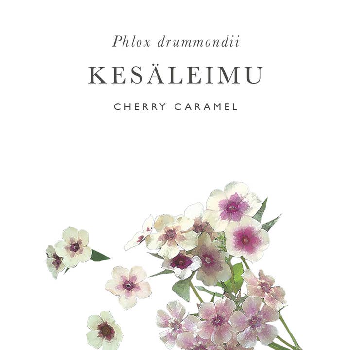 Kukkatarhurit - Vendita all'ingrosso Semi di piante - Kesäleimu Cherry Caramel