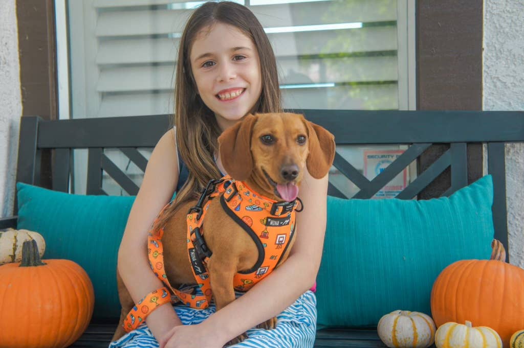 Mina + Pup - Wholesale Pet Harness - Dog - Got Game? Basketball and Sports Adjustable Dog Cat Harness6