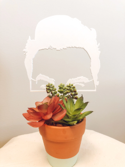 CMbeautifuldesigns - Vendita all'ingrosso Pergole - Schitt's Creek Trellises & Plant Tags4