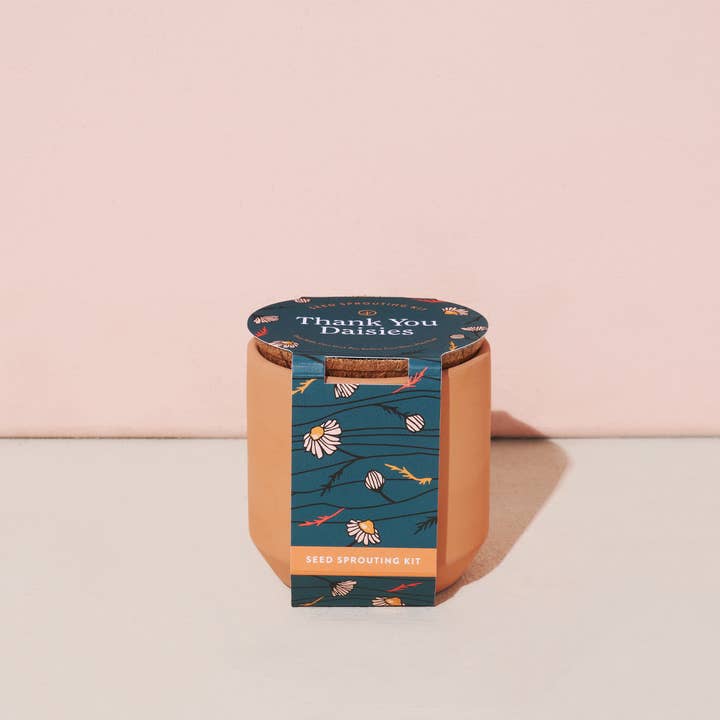 Modern Sprout - Wholesale Plant Pot - Tiny Terracotta - Thank You Daisies