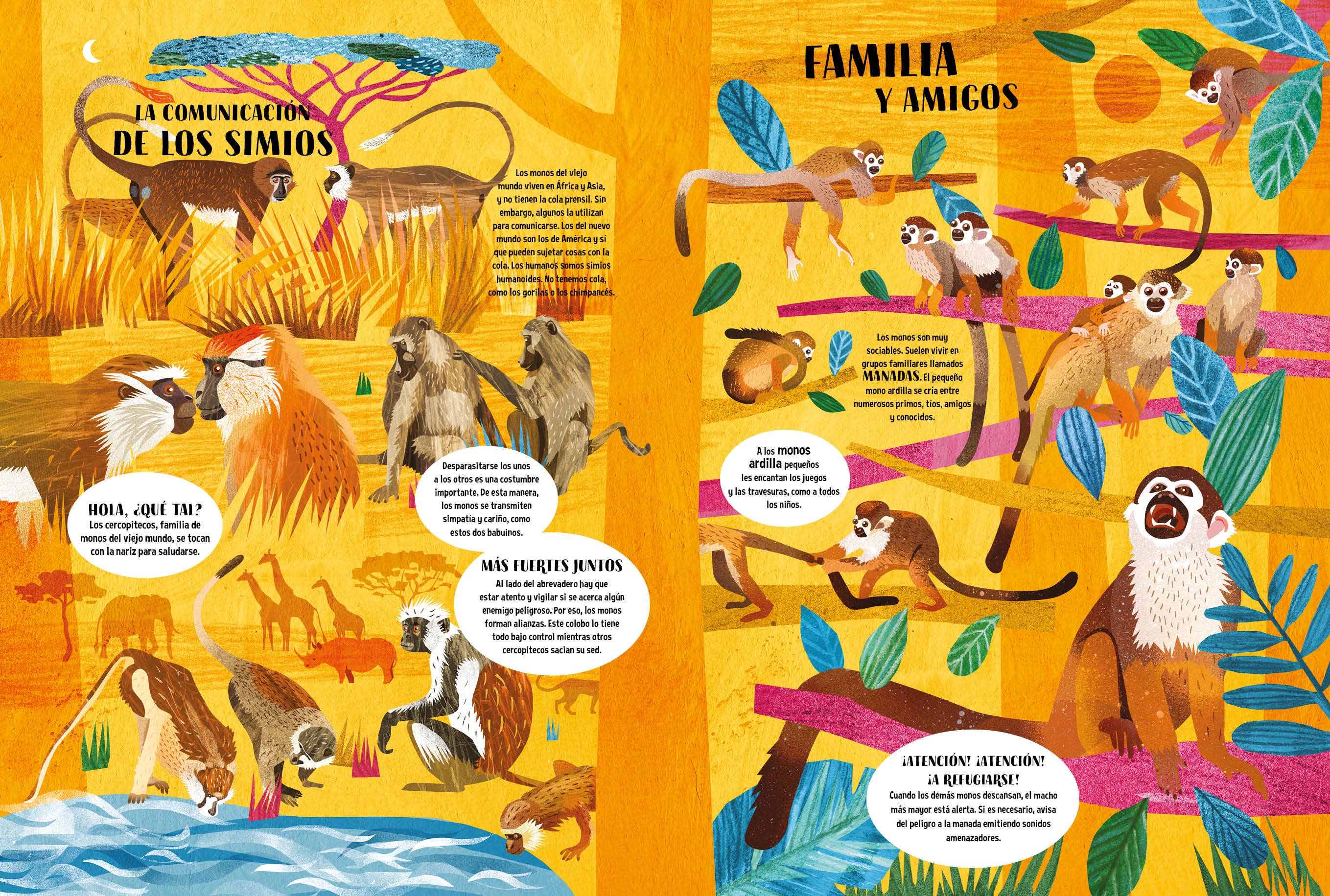 Editorial El Pirata - Wholesale Early Reader Book (6-8) - THE BOOK OF MONKEYS2