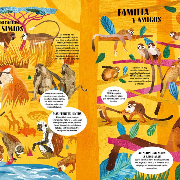 Editorial El Pirata - Wholesale Early Reader Book (6-8) - THE BOOK OF MONKEYS2