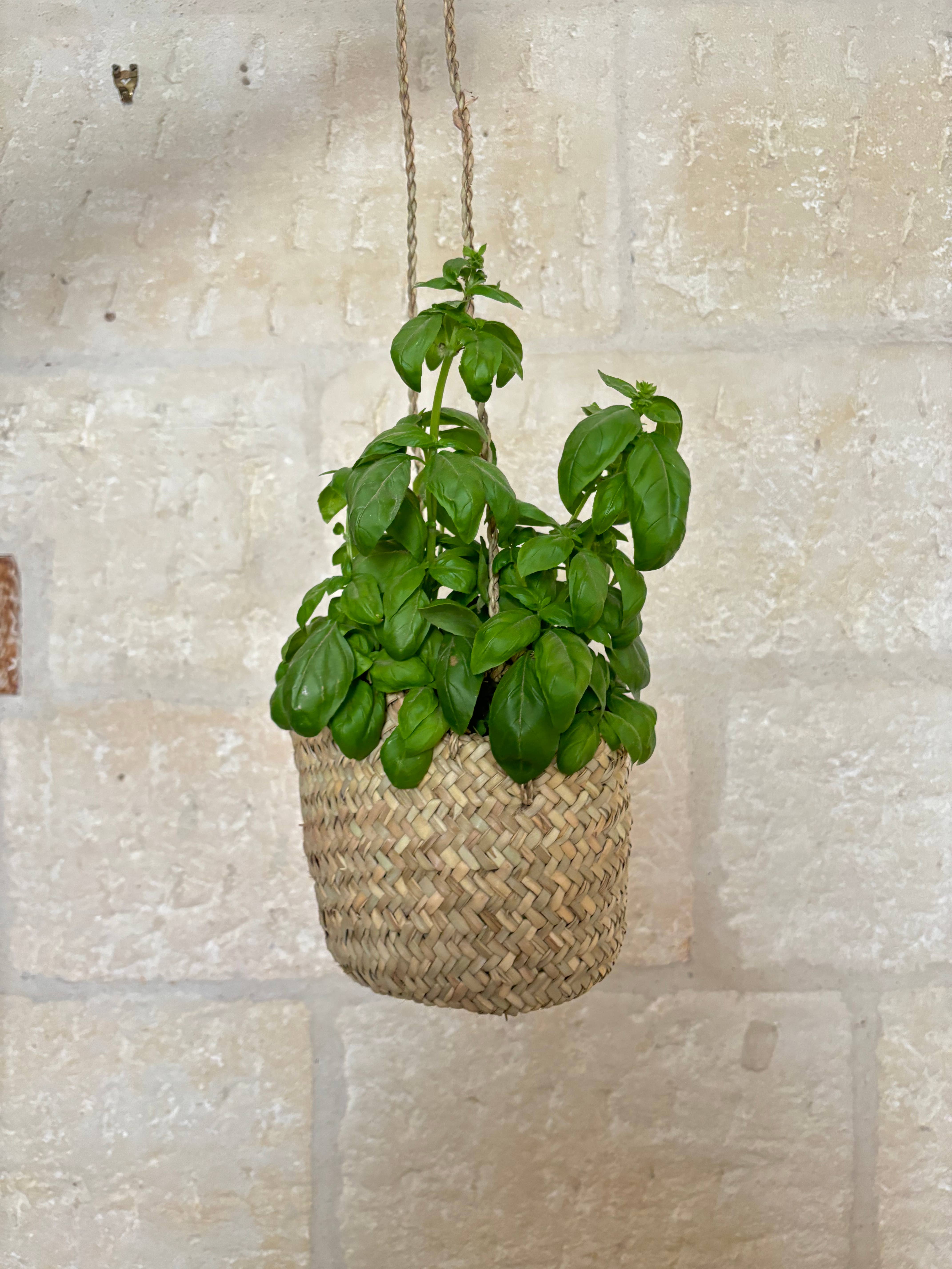 BAHIA HOME - Wholesale Plant Pot Stand - Broome hanging pot cover0