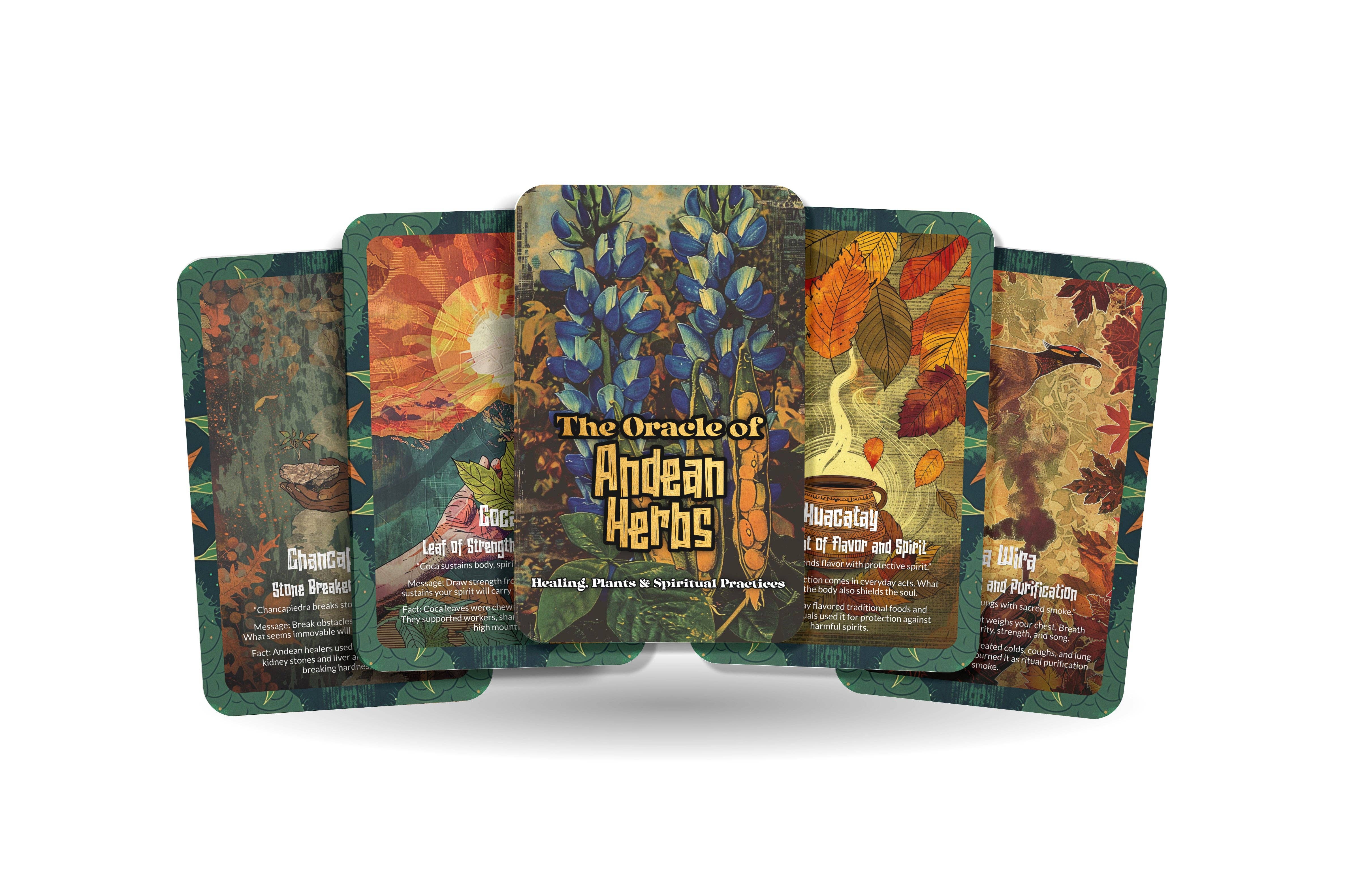 Ibiza Tarot USA - Wholesale Tarot Cards - Andean Herbs Mountain Medicine Oracle Deck – 22 Cards0
