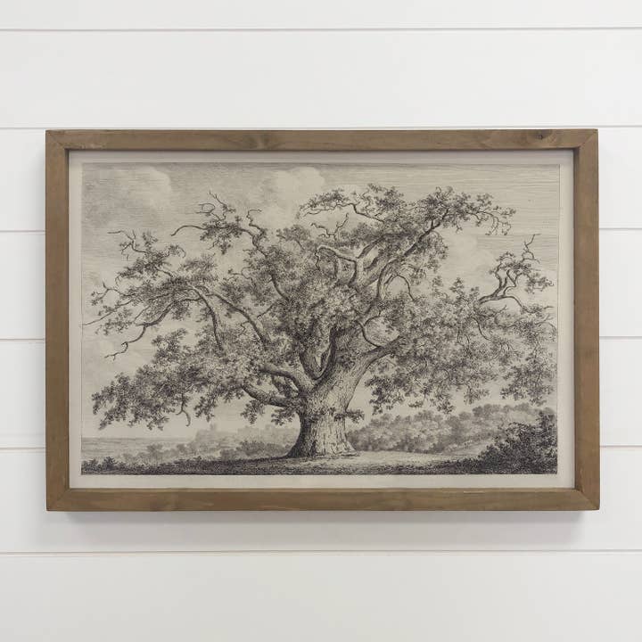 Hangout Home - Wholesale Art Print - Large Old Elm Tree - Large Tree Sketch Canvas Art - Framed1