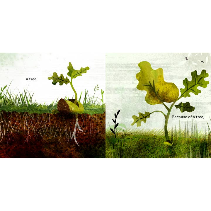 Chronicle Books - Wholesale Preschool Book (3-5) - Because of an Acorn3