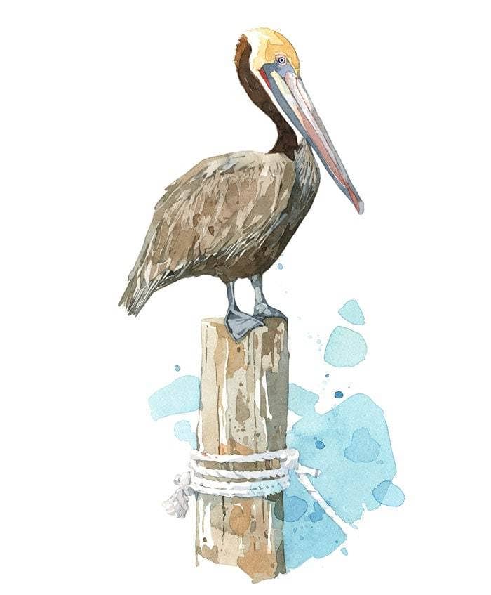 Studio Tuesday - Wholesale Art Print - Pelican Watercolor Art Print, Nautical Bird Painting1