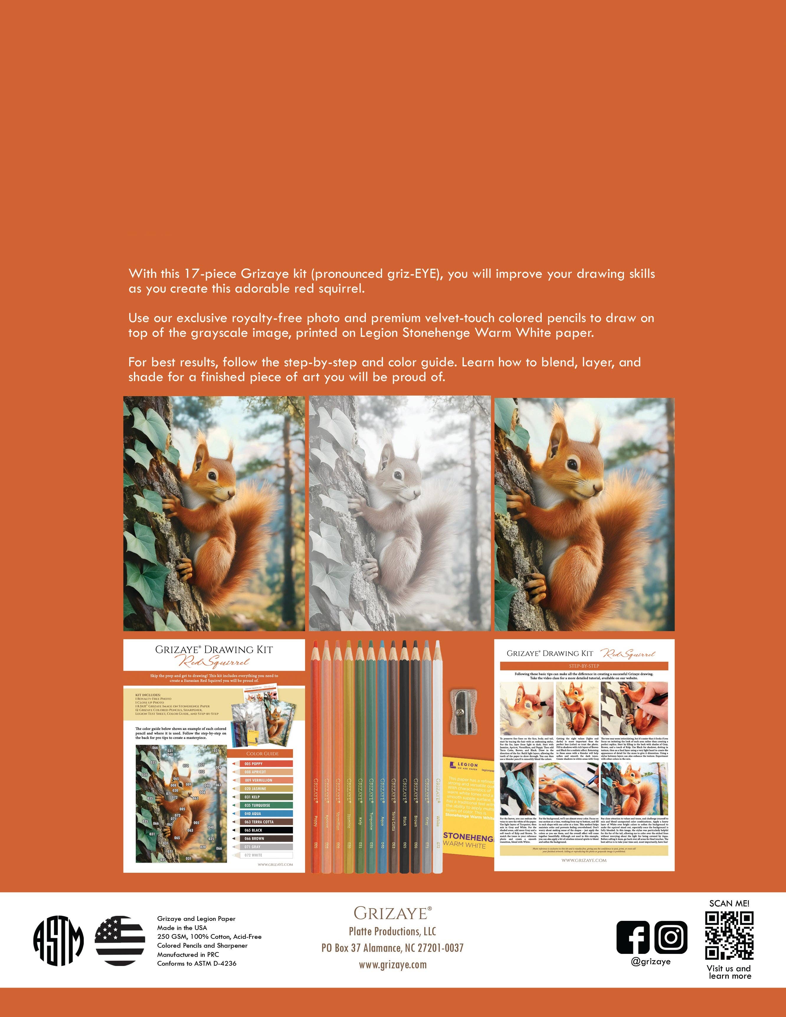 Grizaye - Wholesale DIY Craft Kit - Drawing Kit: Red Squirrel2