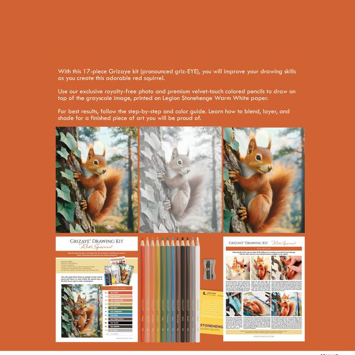 Grizaye - Wholesale DIY Craft Kit - Drawing Kit: Red Squirrel2