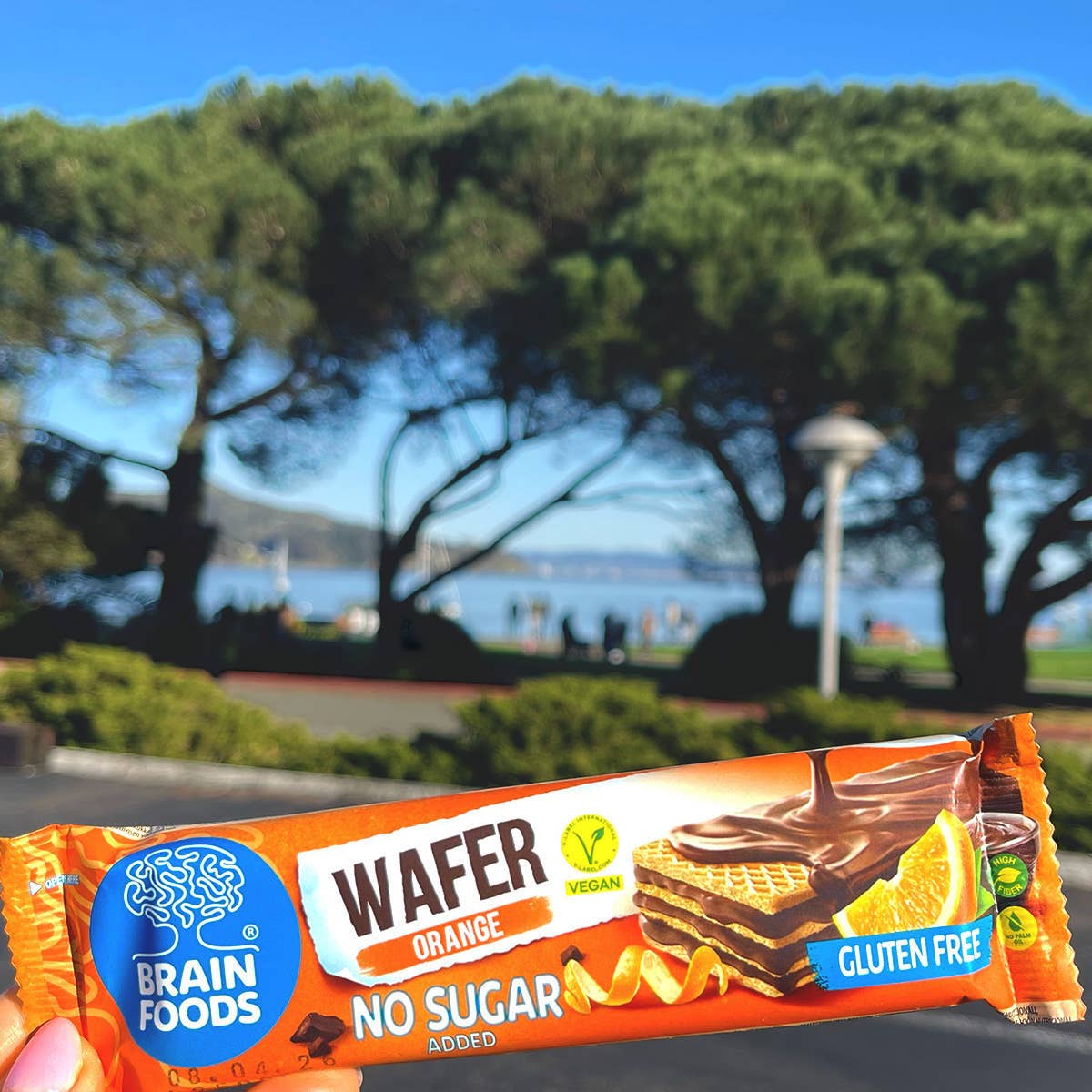 Wilton Mettler LLC - Wholesale Snack Bar - BRAIN FOODS Gluten Free Vegan Wafers (Orange & Chocolate)4