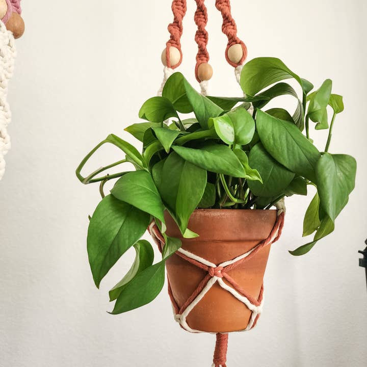 Handmade By Uruba - Wholesale Hangende plantenbak - Tweekleurige plantenhanger met kralen voor gebruik binnen en buiten