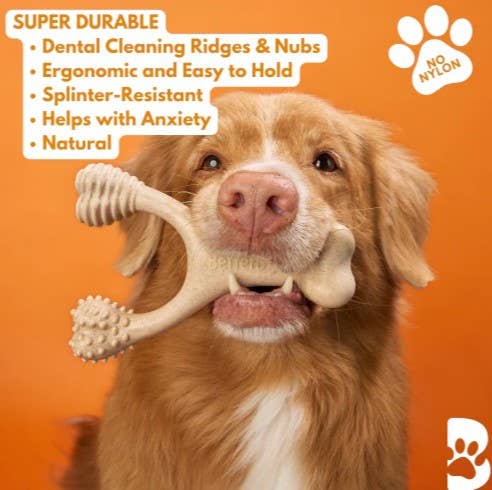 Pet Palette Distribution - Wholesale Pet Chew Toy - Dog - BetterBone Hard Beef Dog Chew Toy Small