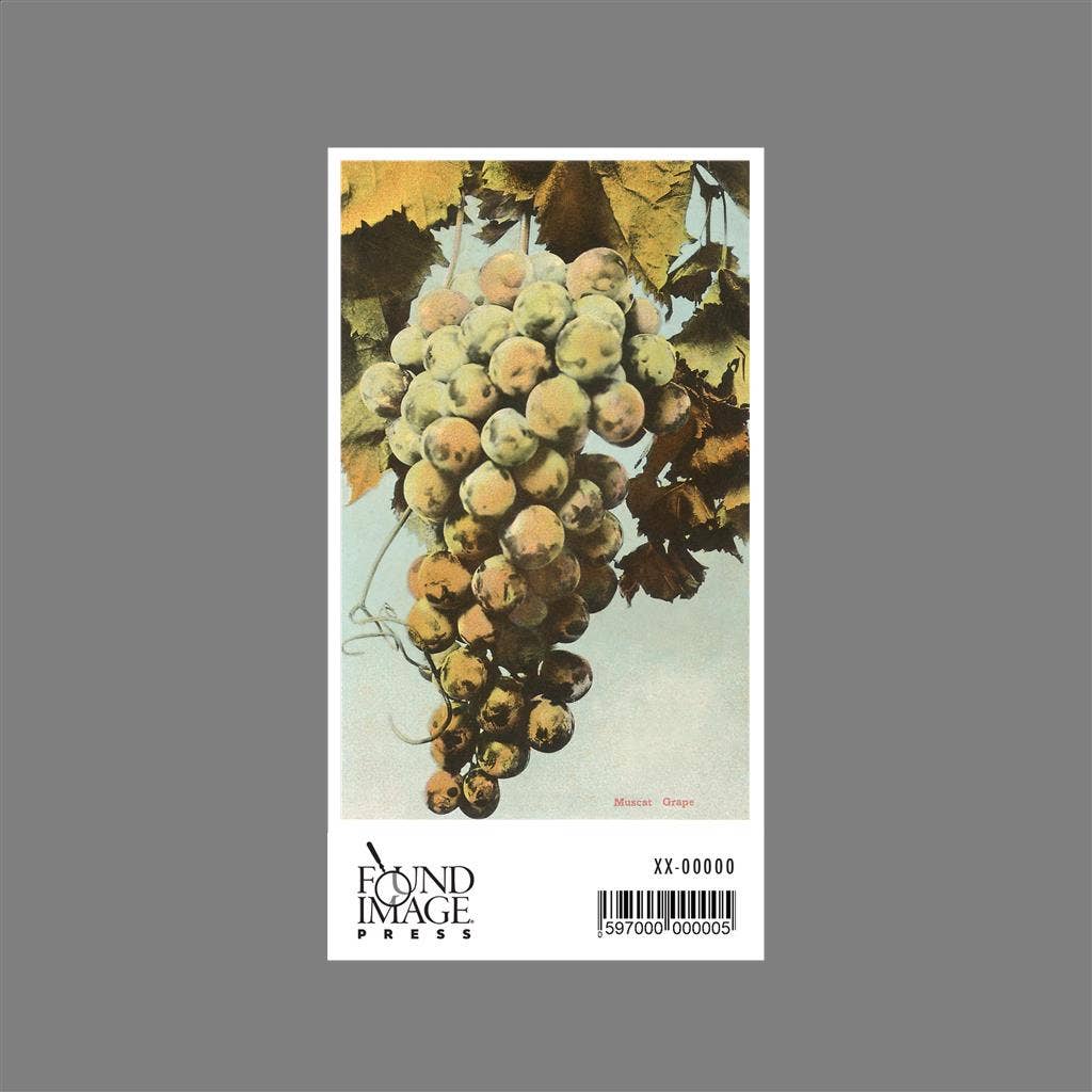 Found Image Press - Wholesale Sticker - Sticker FR-24 Muscat Grapes1