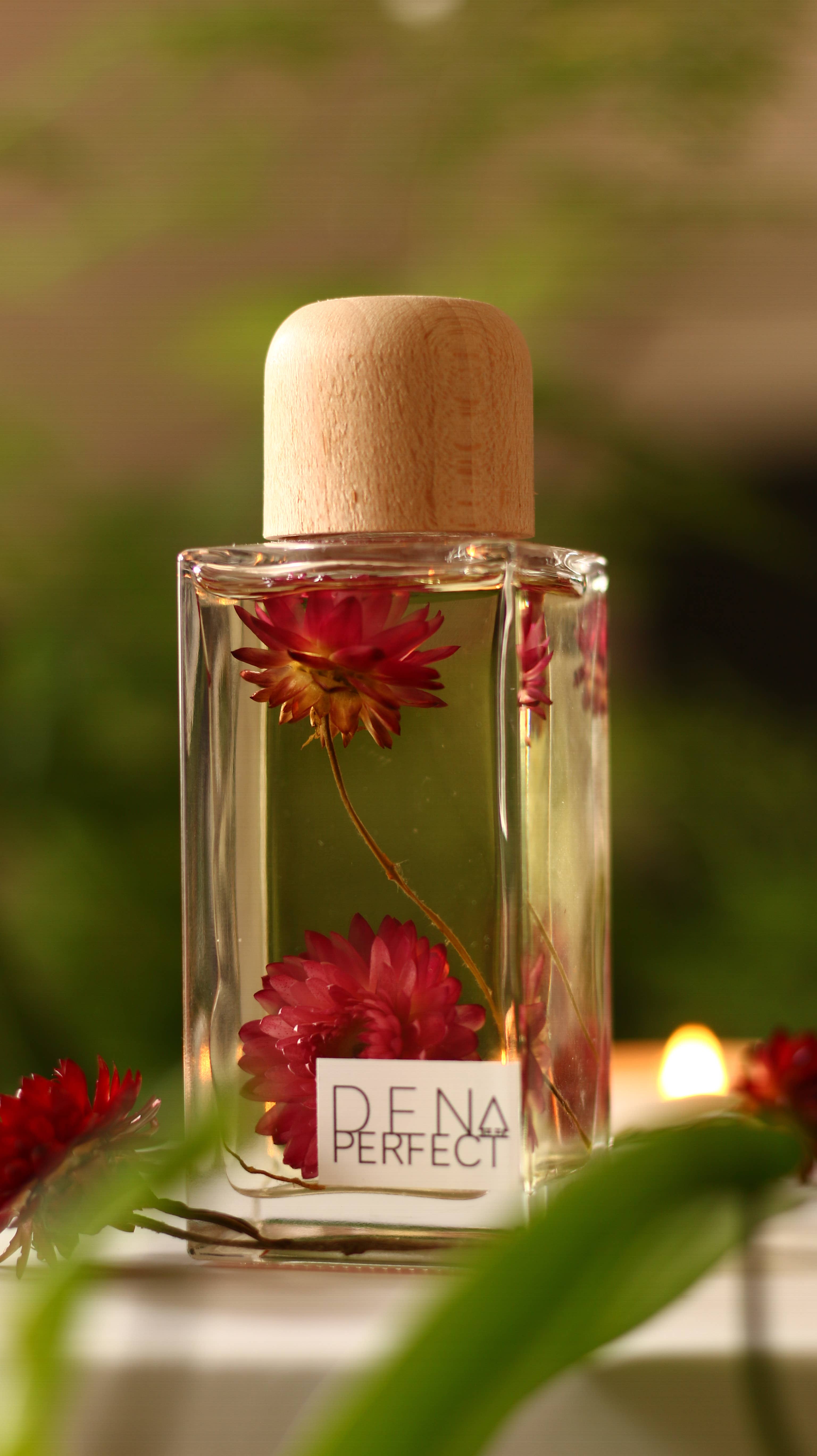 Den Perfect - Venta al por mayor Difusores de palitos - Difusor de caña botánico de granada negra2