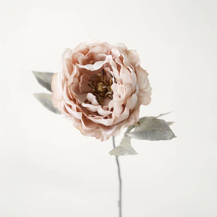 Artificial Peony Flower in Mauve Beige - 18.5" for wholesale by Afloral