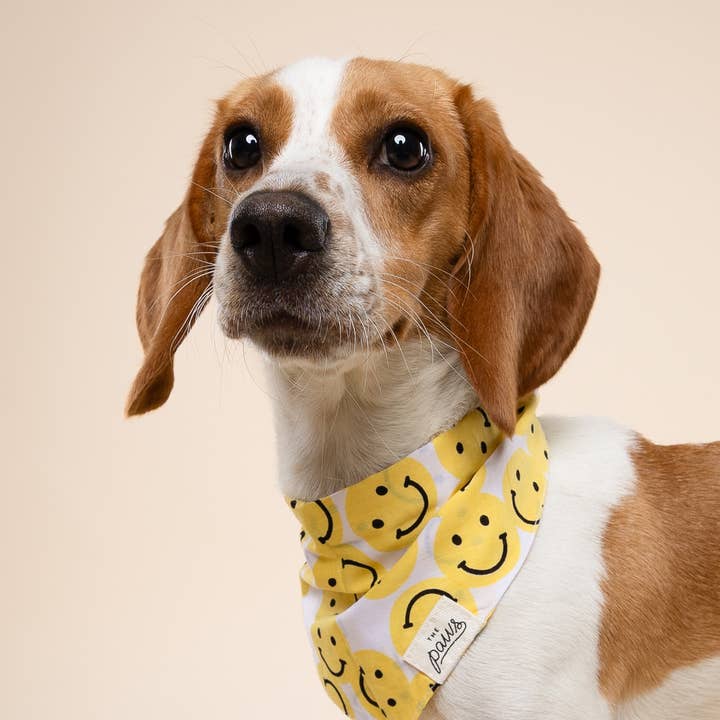 The Paws - Wholesale Pet Bandana - Dog - Smile Dog Bandana