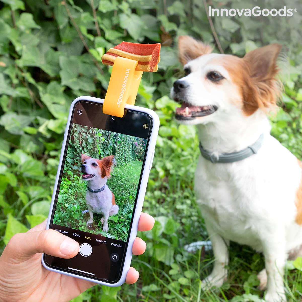 InnovaGoods - Wholesale Pet Collar - Cat/Dog - InnovaGoods Pefie Pet Selfie Clip2