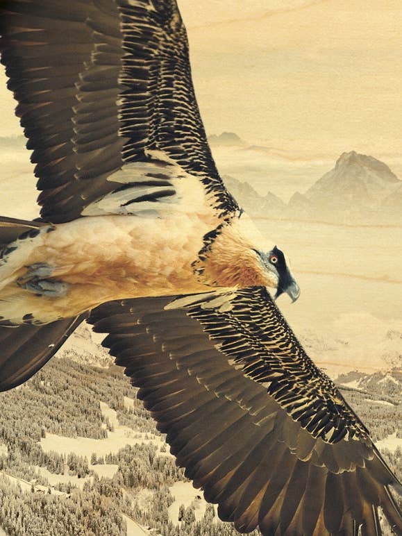 TRÄKORT DJUR LAMMGAM för wholesale av Hironwoods