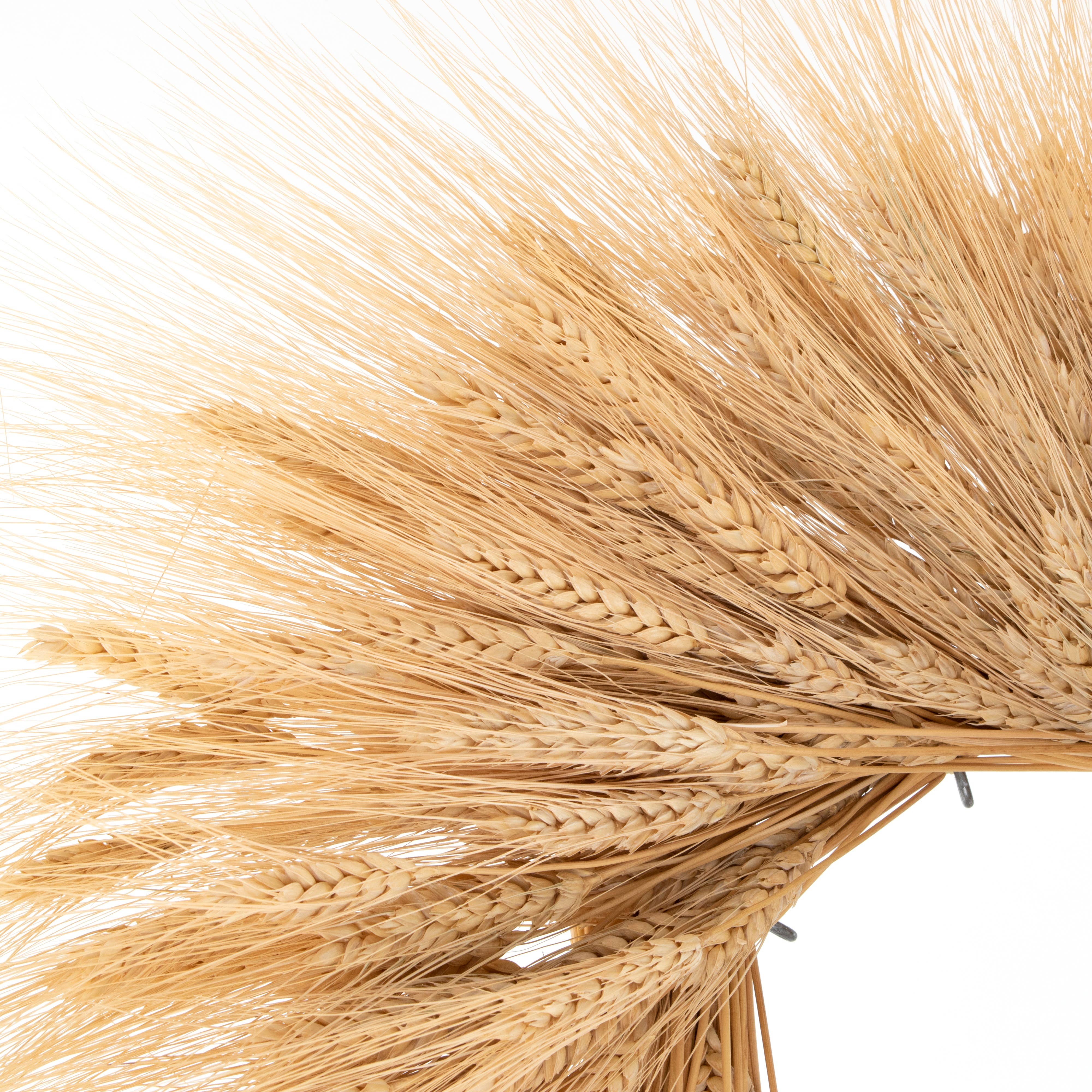 Andaluca - Wholesale Wreath - Dried Wheat Wreath3