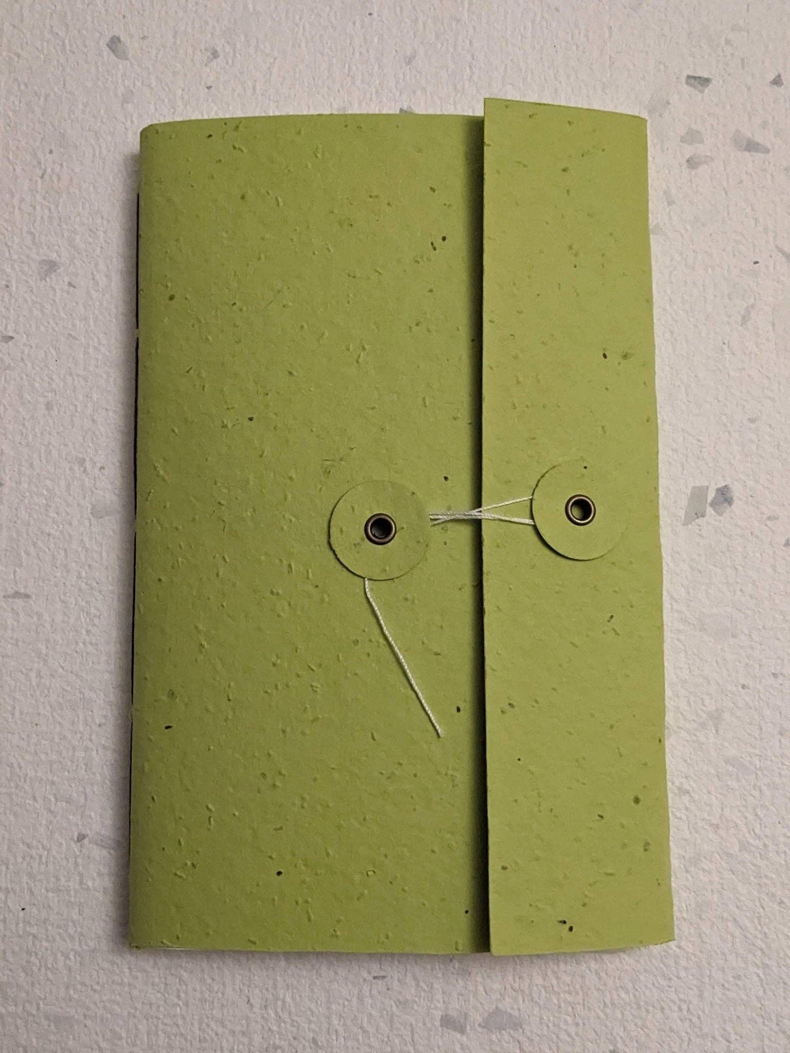 Creative Artifacts HQ - Wholesale Notebook - Large | Plantable Button and String Notebook11