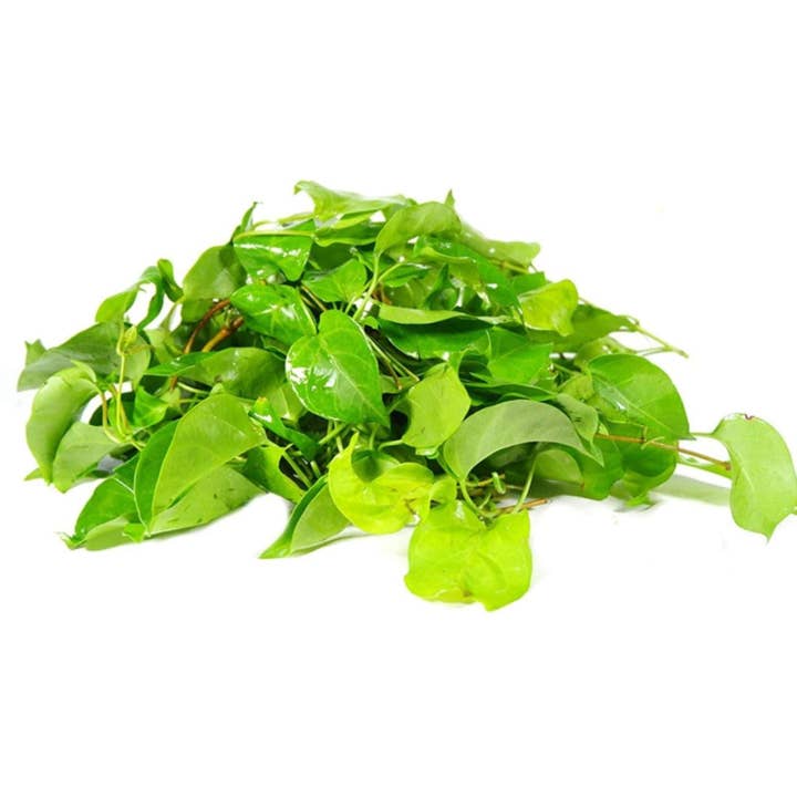 The Rike - Wholesale Health/Detox Tea - 100-gram Dried River Leaf Creeper (Aganonerion polymorphum) River Leaf Vine, Vietnamese La Giang Herbal Tea | Sour Leaf Creeper, Sour-Soup Creeper La Lom