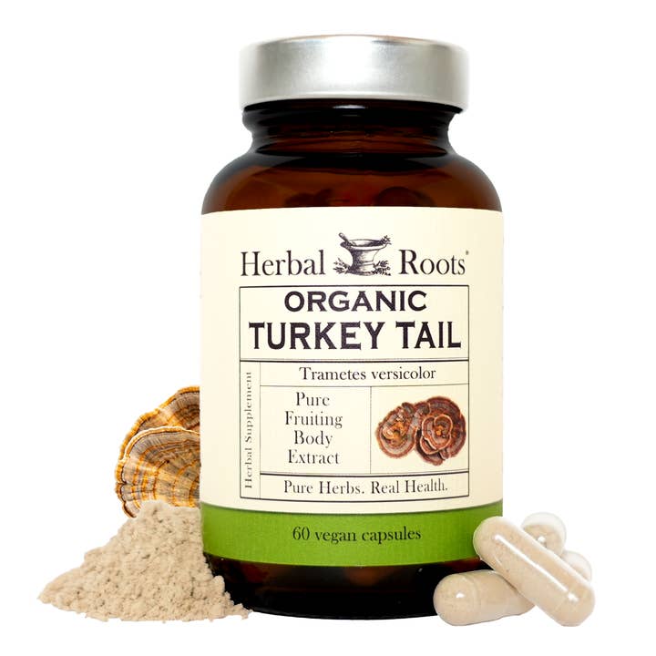 Organic Turkey Tail Mushroom for wholesale by Herbal Roots