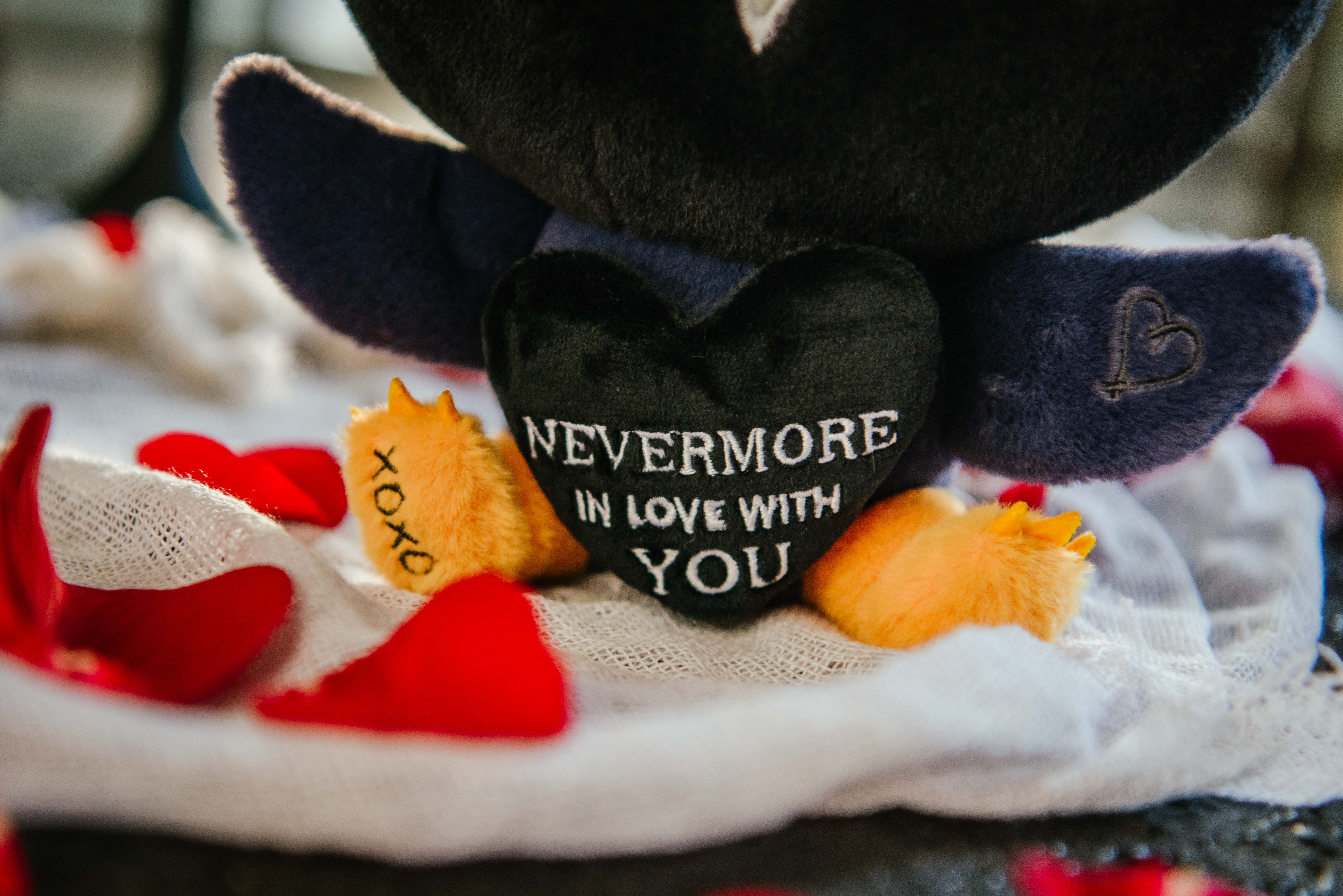 Punchkins - Wholesale Stuffed/Plush Toy - Kids & Baby - Wild Romance - Plush Raven3