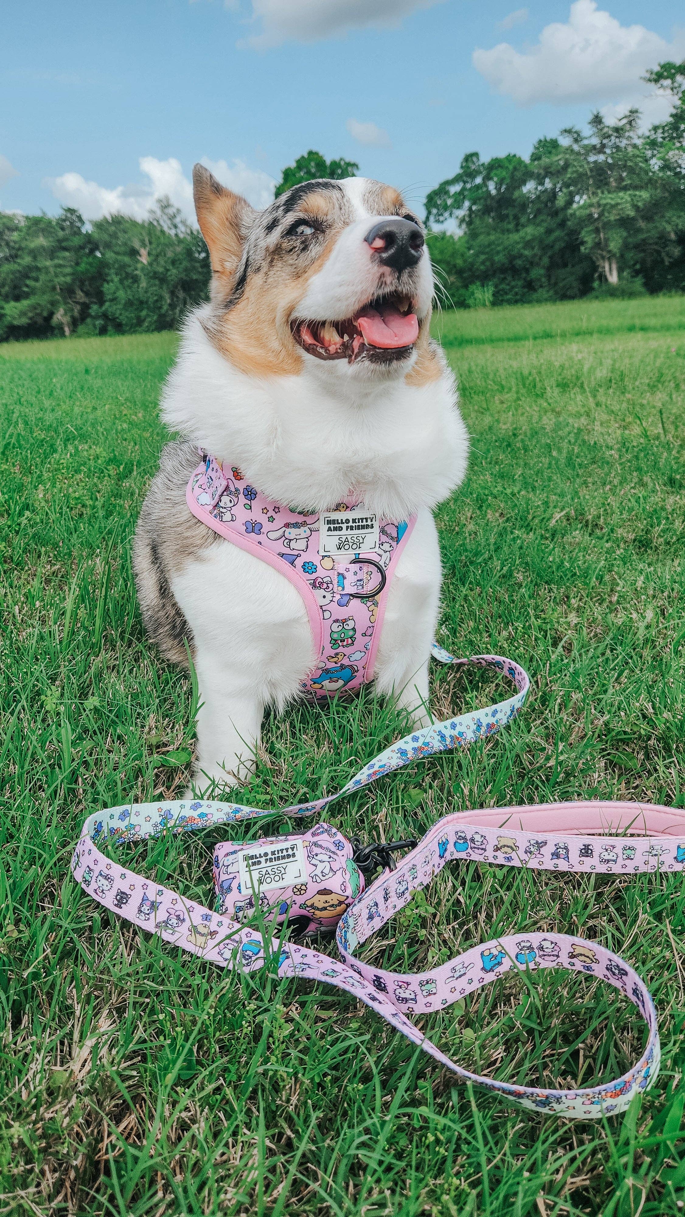 SASSY WOOF - Wholesale Pet Harness - Dog - Dog Adjustable Harness - Hello Kitty® & Friends Flower Festival8