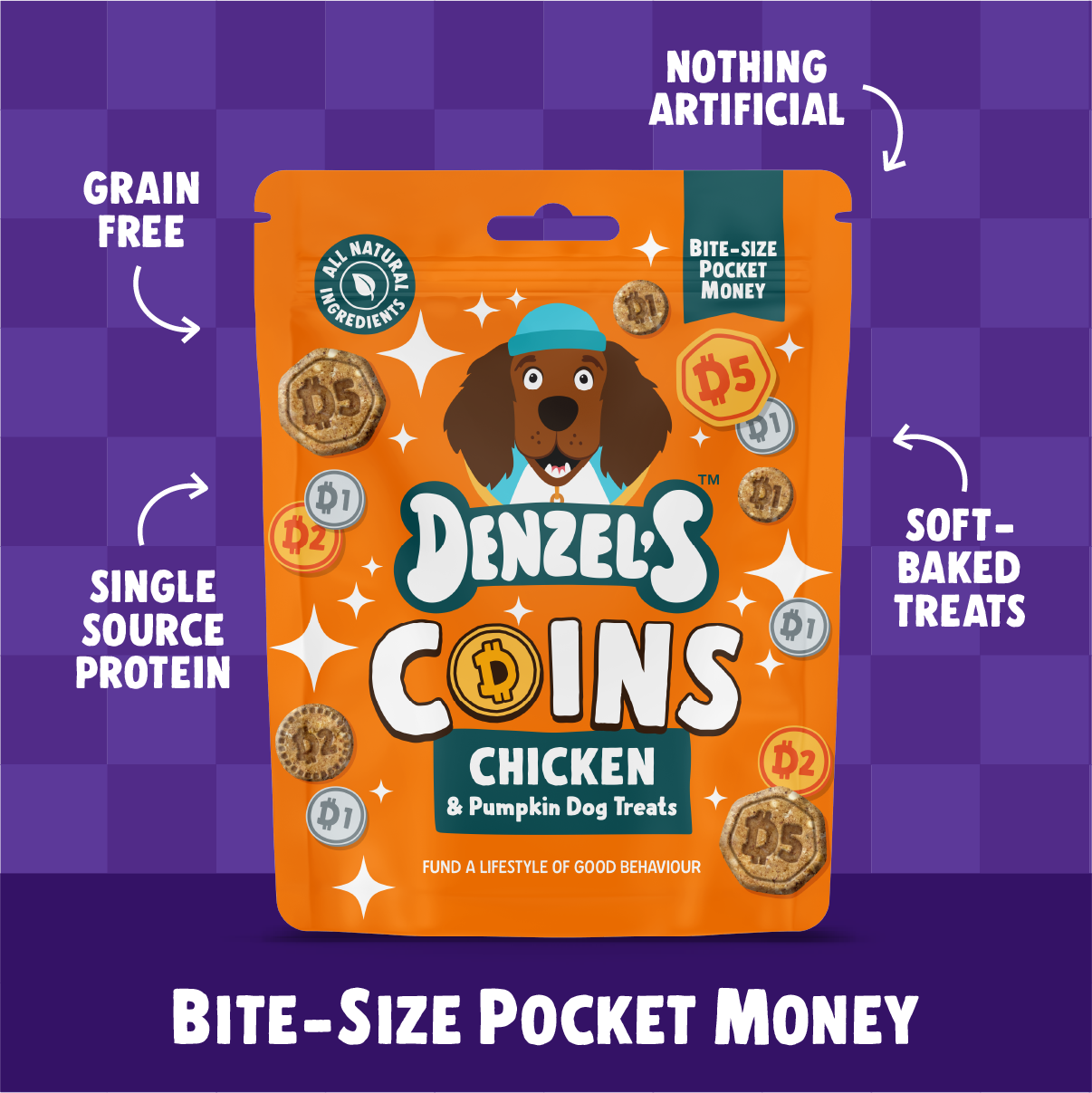 Denzel's - Healthy Dog Treats – wholesale Pet treats – Dog – Denzel’s Coins - Chicken & Pumpkin Dog Treats (90g)2
