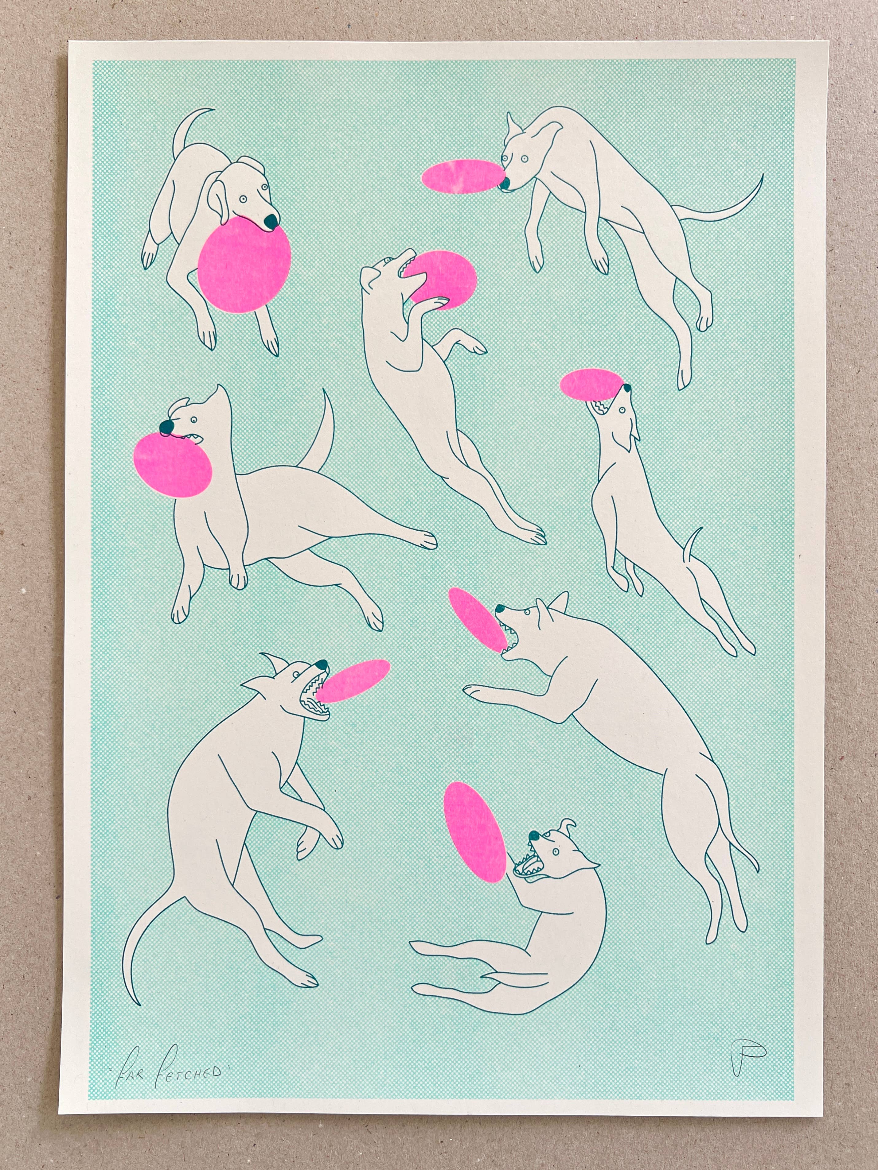 Strangford - Wholesale Art Print - Far Fetched1