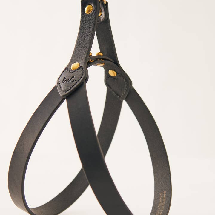 Muso & Co – Großhandel Haustiergeschirr – Hund – Klassisches Geschirr aus pflanzlich gegerbtem Leder11