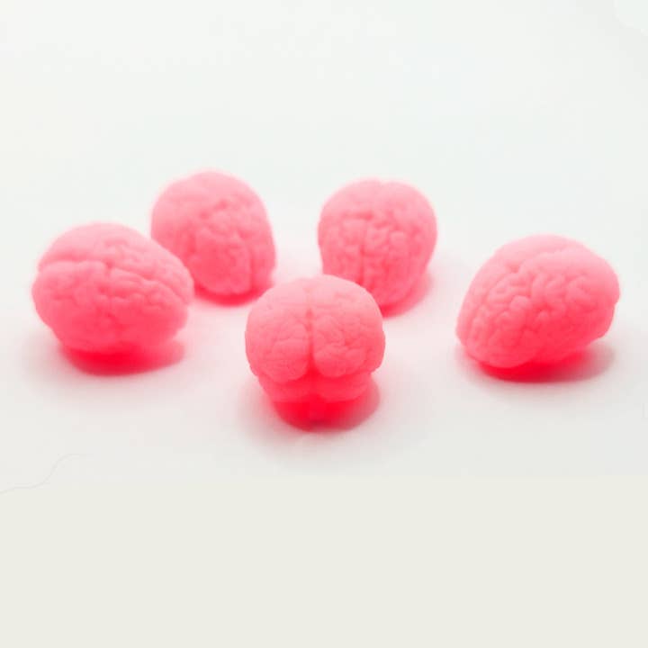 The Scale Grail - Wholesale Decorative Tabletop Object - Human Brain, set of 5 great for 1:12 scale dioramas, horror scenes, terrariums. Fun action figure and board game accessories (5 brains)
