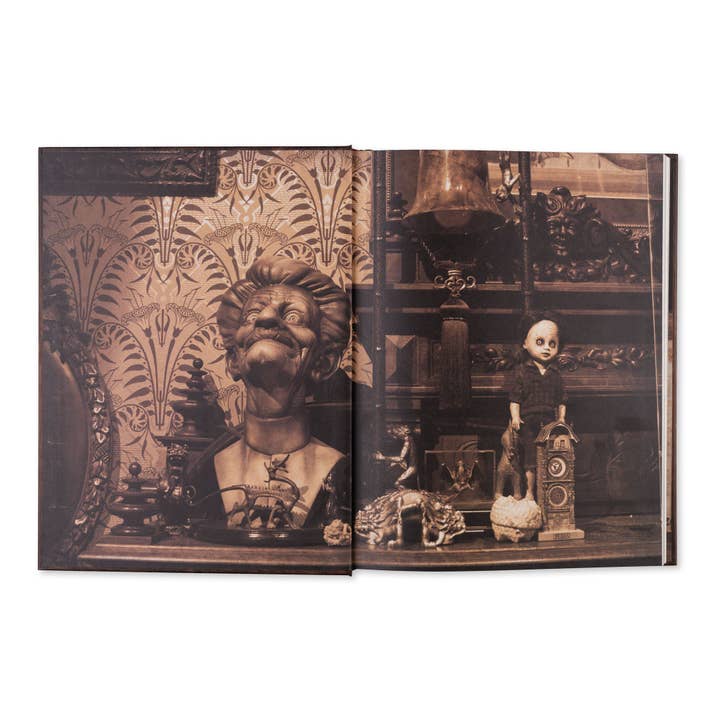 Insight Editions - #1 Pop Culture Publisher - Wholesale Arts & Entertainment Book - Guillermo del Toro: Cabinet of Curiosities (NEW!)4