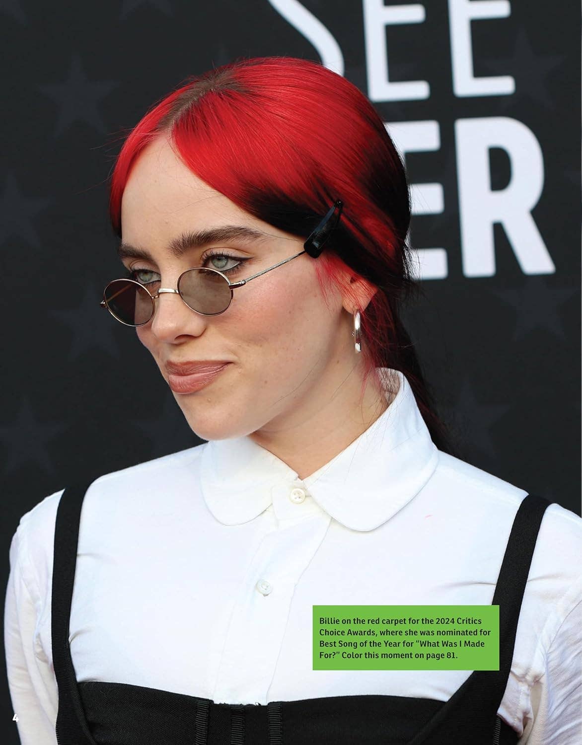 Fox Chapel Publishing - Wholesale Coloring & Activity Book - Adult - Super Stylish Billie Eilish Coloring & Activity Book5