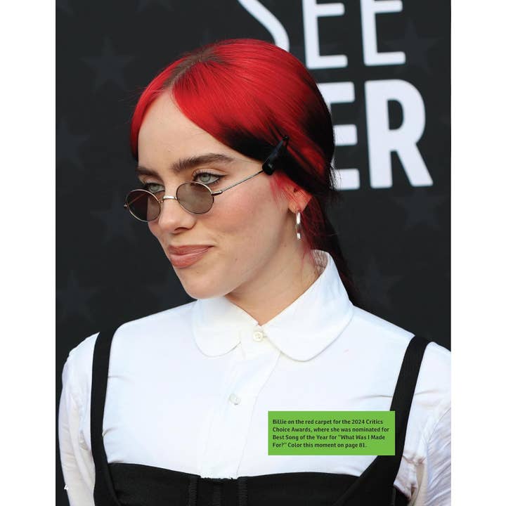 Fox Chapel Publishing - Wholesale Coloring & Activity Book - Adult - Super Stylish Billie Eilish Coloring & Activity Book5