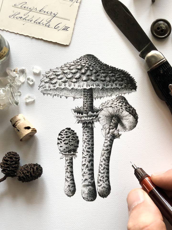 Shaggy Mushroom 5x7 for wholesale by InkWell Spectrum