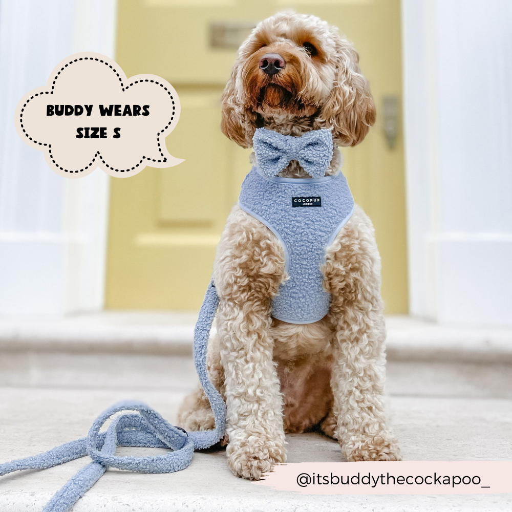 Cocopup London – wholesale Pet harness – Dog – Teddy Daydream Adjustable Neck Harness9