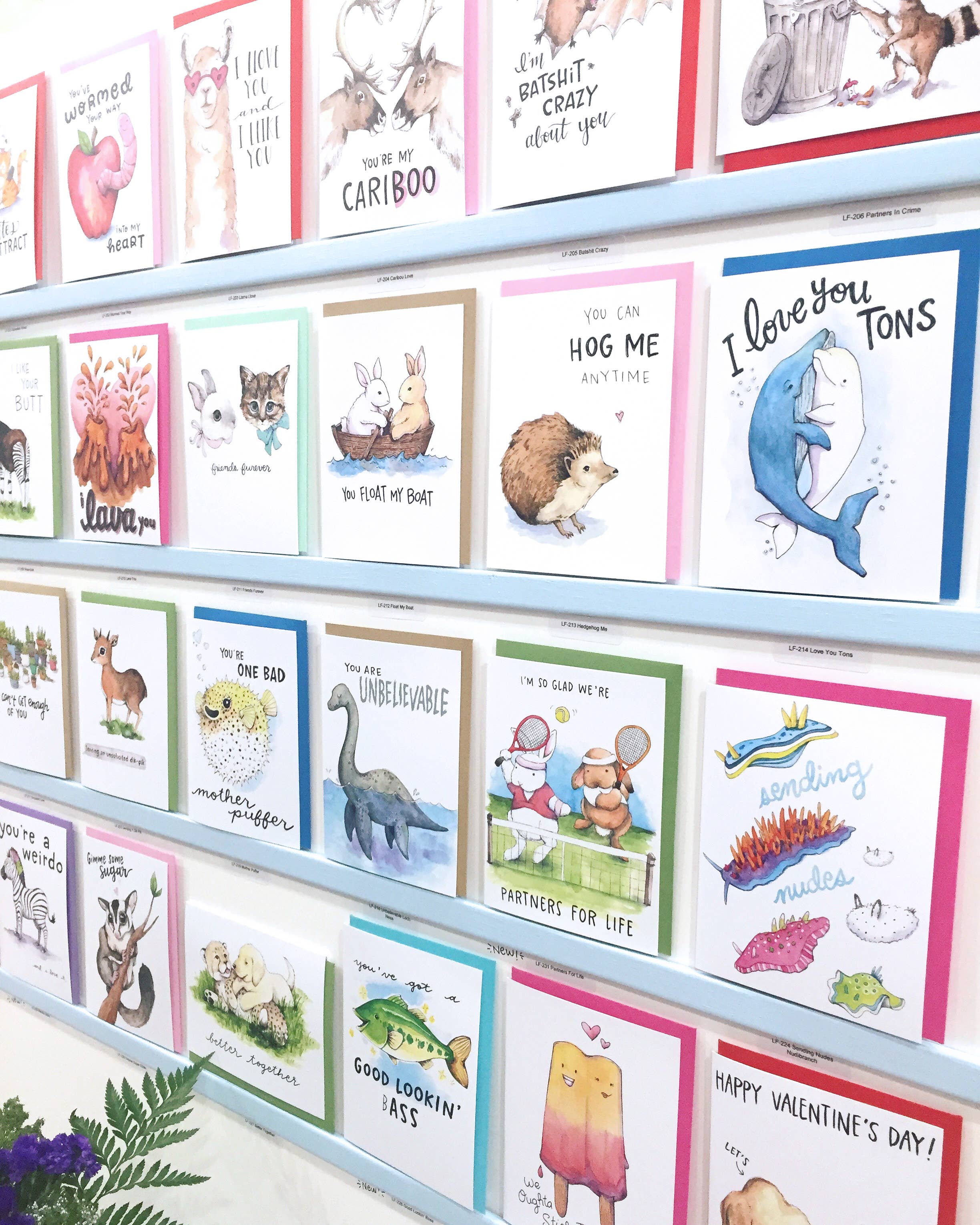 Paper Wilderness - Wholesale Everyday Greeting Card - Sending Nudes Nudibranch Card1