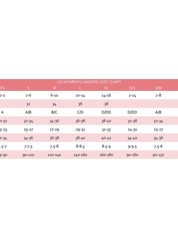 Plus Size Sheer Garter Bodystocking with Thigh High for wholesale by Dreamgirl International