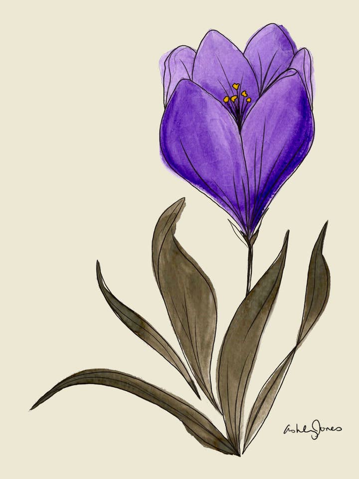Crocus Art Print for wholesale by Covered With Art