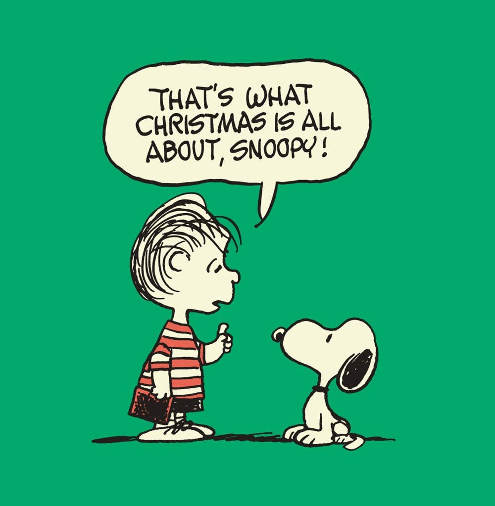 W. W. Norton - Wholesale Preschool Book (3-5) - Charlie Brown's Christmas Stocking3