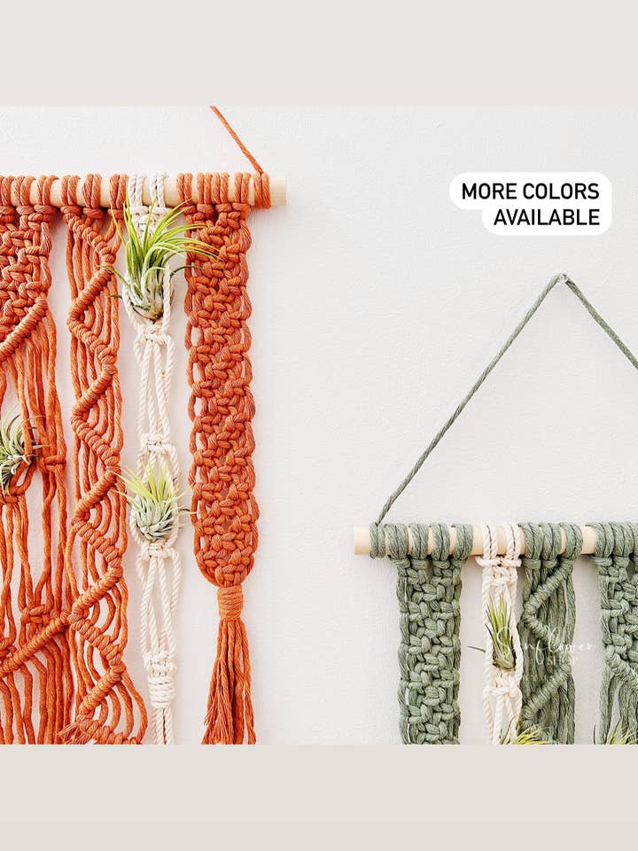 Macrame Wall Hanging for Air Plants/Unique Air Plant Holder for wholesale by Sunflower Shop by Isa