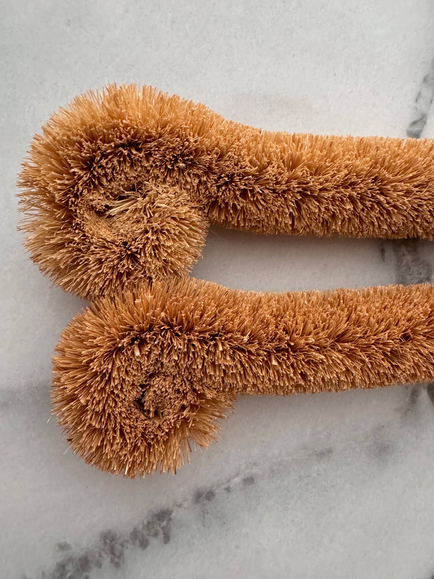 Essence of Life Organics - Vendita all'ingrosso Spazzola per pulire - Spazzola a bottiglia multipurpose a base vegetale2