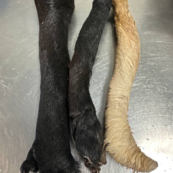 Cow Hide Roll  for wholesale by Tapia raw meats for pet food