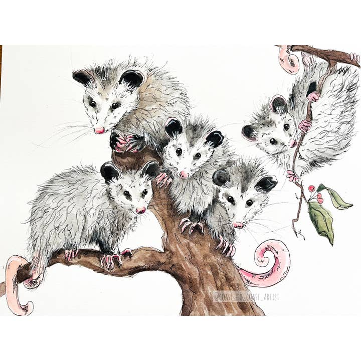Je te regarde Opossum Art Print Aquarelle Faune pour la vente par The Crazy Opossum Lady