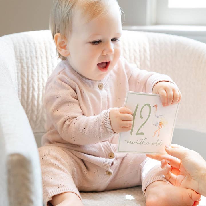 Anne Neilson Home – wholesale Milestone art/keepsake – Child & baby – Milestone Cards1