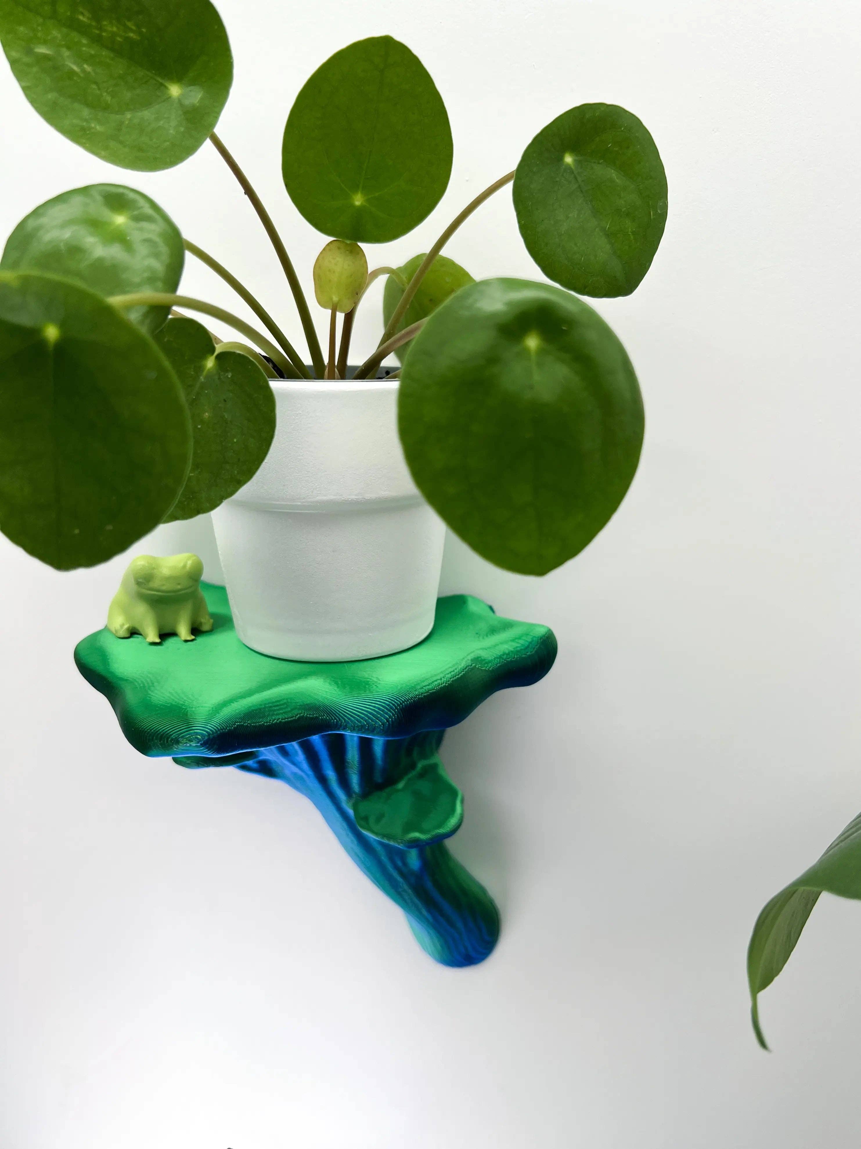 Roomberry - Wholesale Wall Mounted Shelf - Floating Oyster Mushroom Wall Shelf9