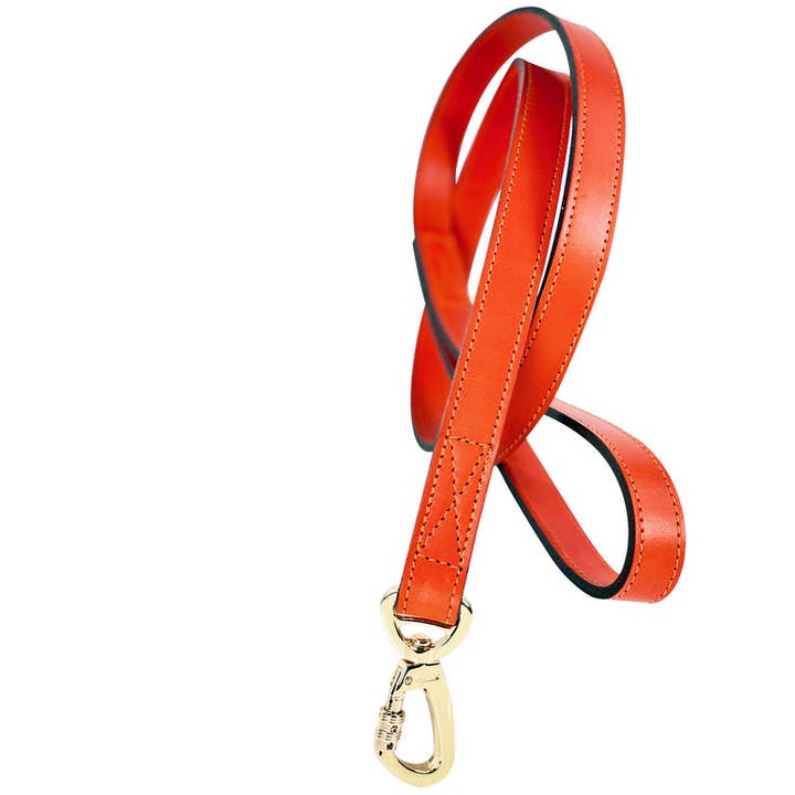 Signature Dog Leash in Tangerine & Gold for wholesale by Hartman & Rose